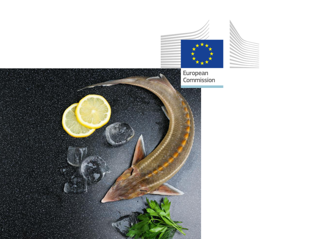 Il consumo globale di uova di salmone e trota al centro del report EUMOFA