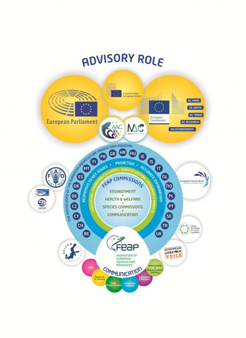 bm3-prod-organigramme-feap-2026-cp