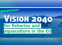 Vision 2040: aquaculture as a strategic pillar of the EU food system
